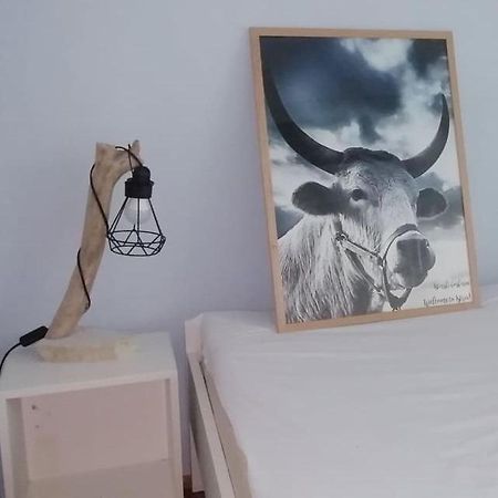 Mystra Apartman Póla Kültér fotó
